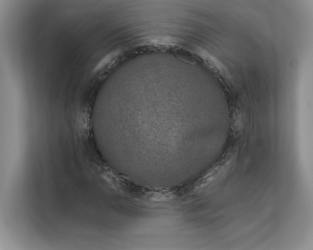 X0000111811110200908061110