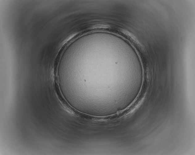 X0000111811113200908061110