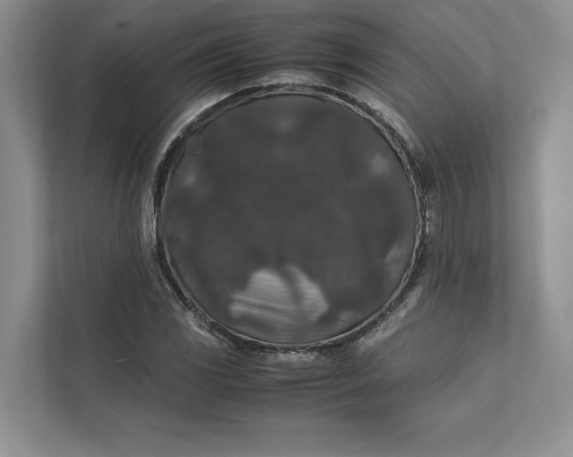 X0000111811117200908061110