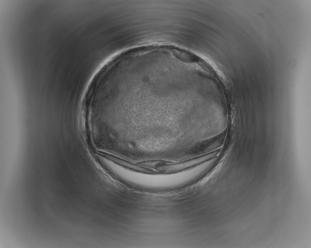 X0000111811118200908061110