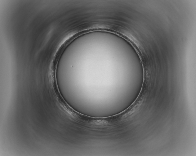X0000111811119200908061110