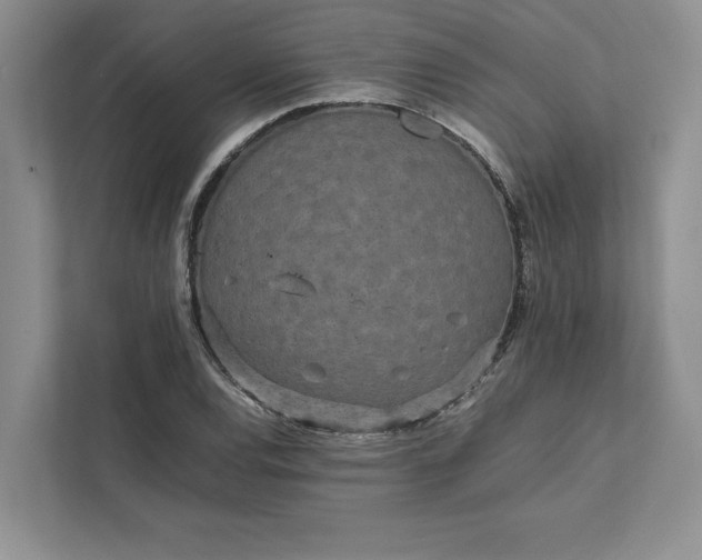 X0000111811120200908061110