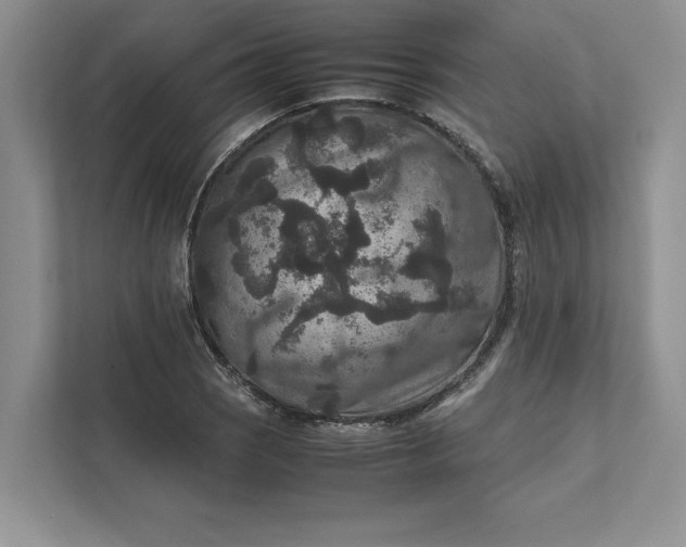X0000111811121200908061110