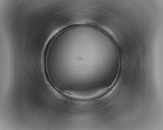 X0000111811122200908061110
