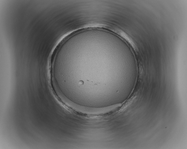 X0000111811124200908061110