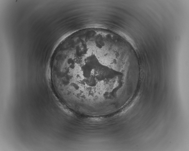 X0000111811125200908061110