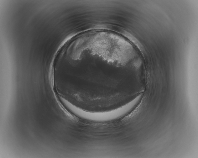 X0000111811127200908061110