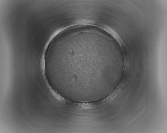 X0000111811128200908061110