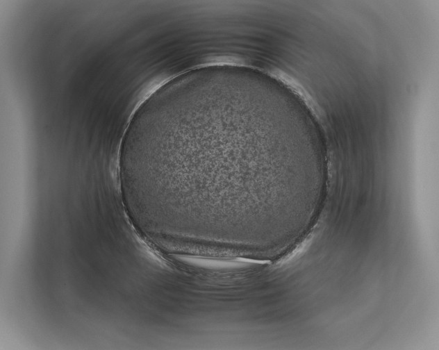 X0000111811129200908061110