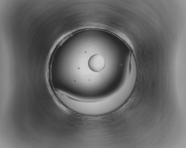 X0000111811136200908061110