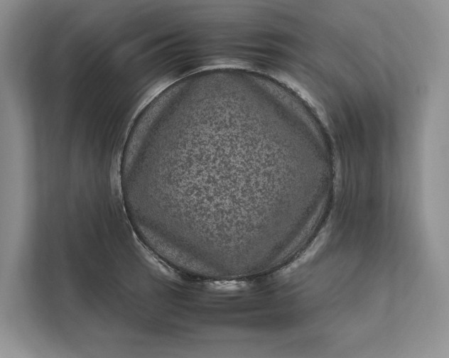 X0000111811137200908061110