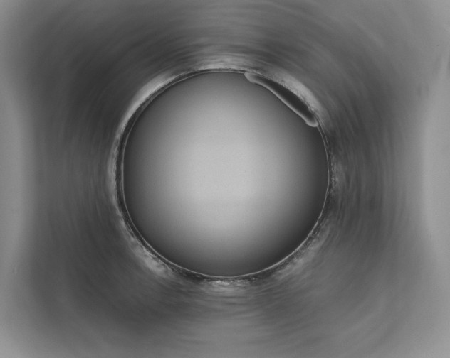 X0000111811138200908061110