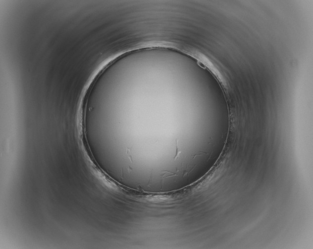 X0000111811140200908061110