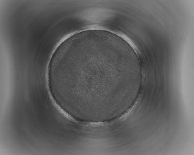 X0000111811142200908061110
