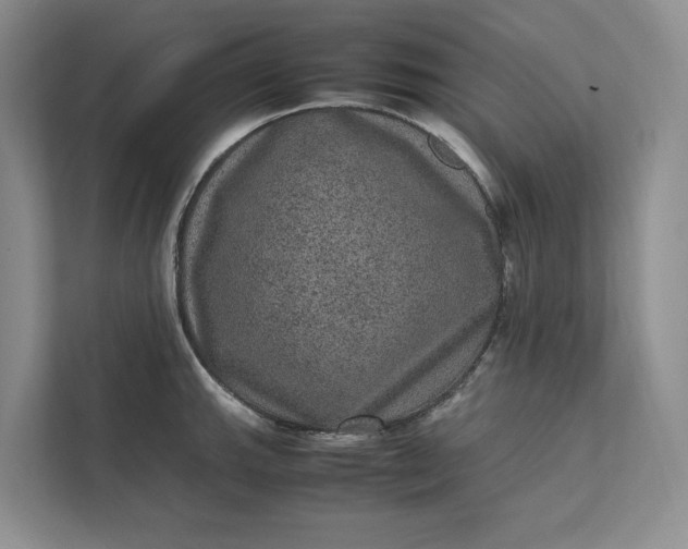 X0000111811143200908061110
