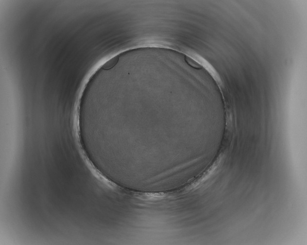 X0000111811144200908061110