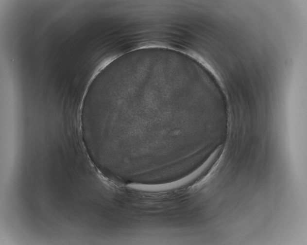 X0000111811145200908061110