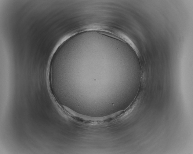 X0000111811146200908061110