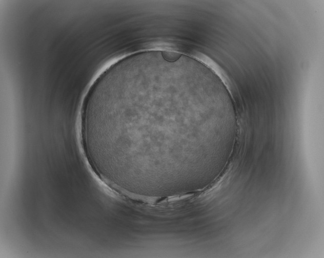 X0000111811147200908061110