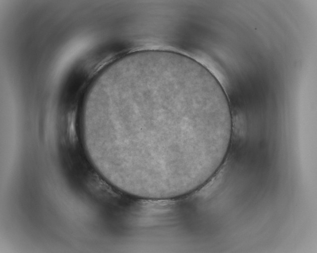 X0000111811150200908061110