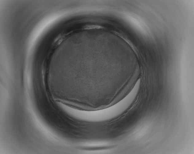 X0000111811151200908061110