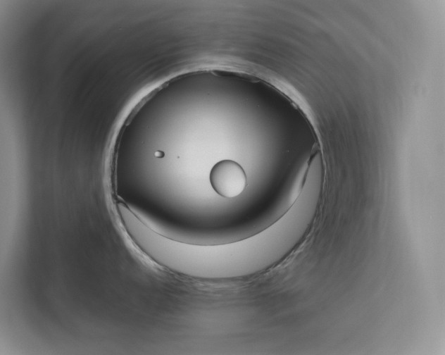 X0000111811152200908061110