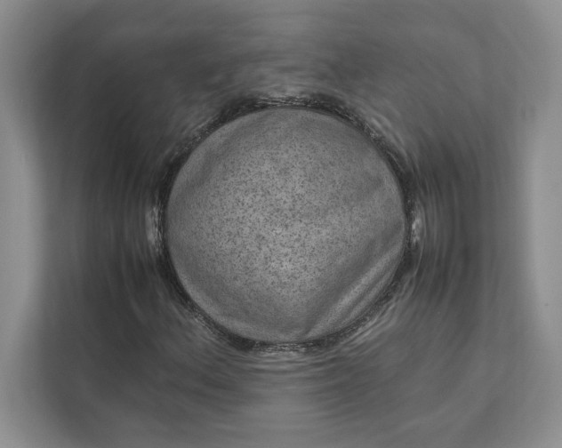 X0000111811156200908061109