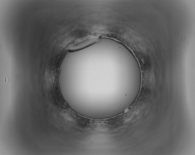 X0000111811157200908061109