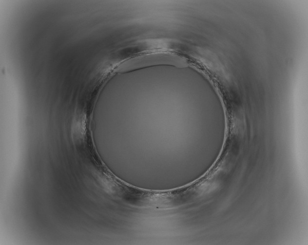 X0000111811161200908061109