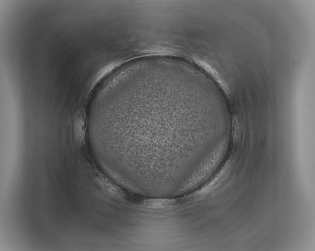 X0000111811163200908061109
