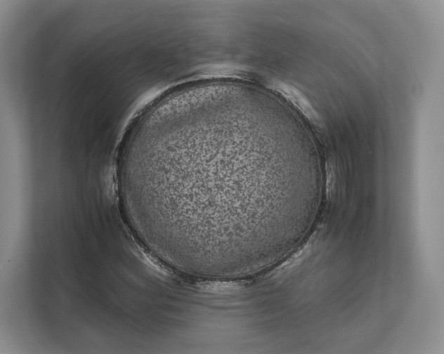 X0000111811164200908061109