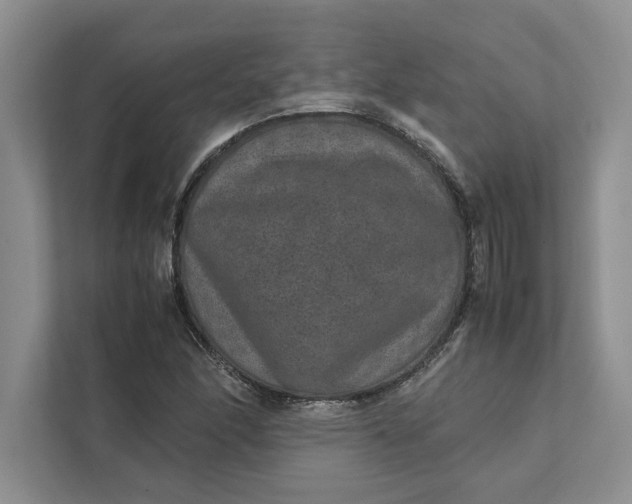X0000111811166200908061109