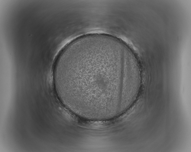 X0000111811167200908061109