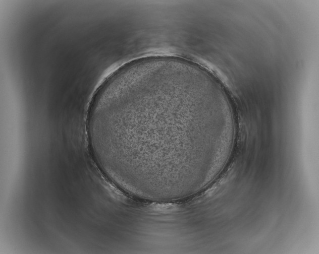 X0000111811168200908061109