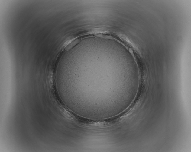 X0000111811169200908061109