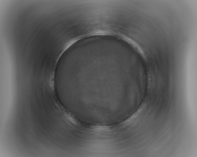 X0000111811170200908061109