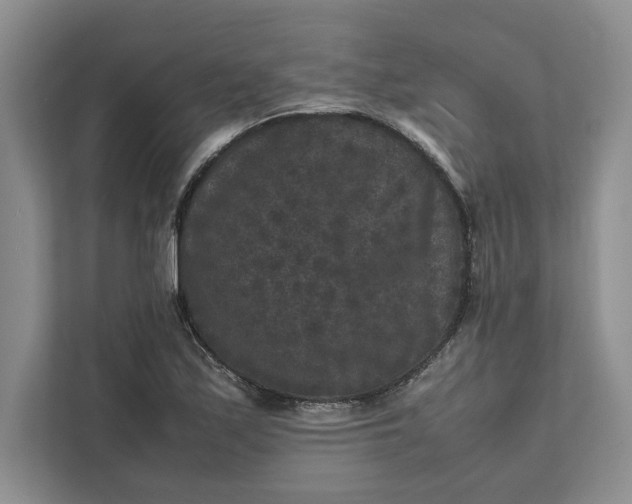 X0000111811171200908061109
