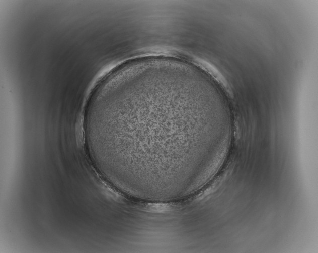 X0000111811172200908061109