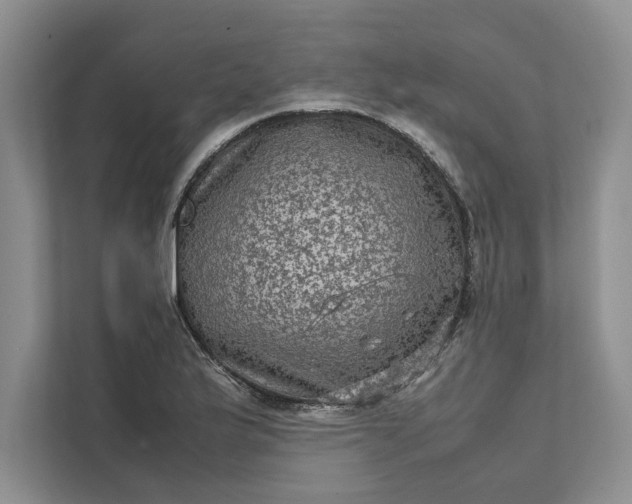 X0000111811175200908061109