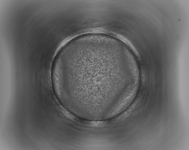 X0000111811176200908061109