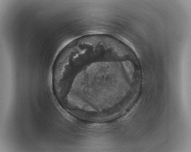 X0000111811179200908061109
