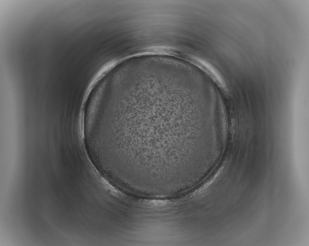 X0000111811180200908061109