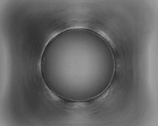 X0000111811181200908061109