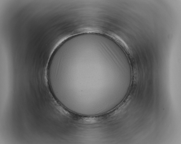 X0000111811182200908061109