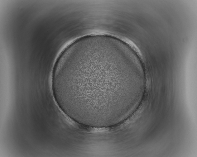 X0000111811183200908061109