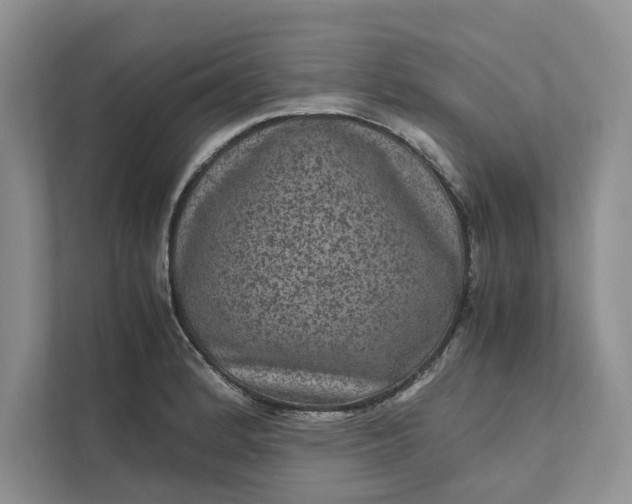X0000111811184200908061109