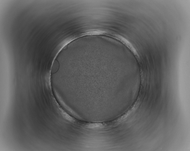 X0000111811186200908061109