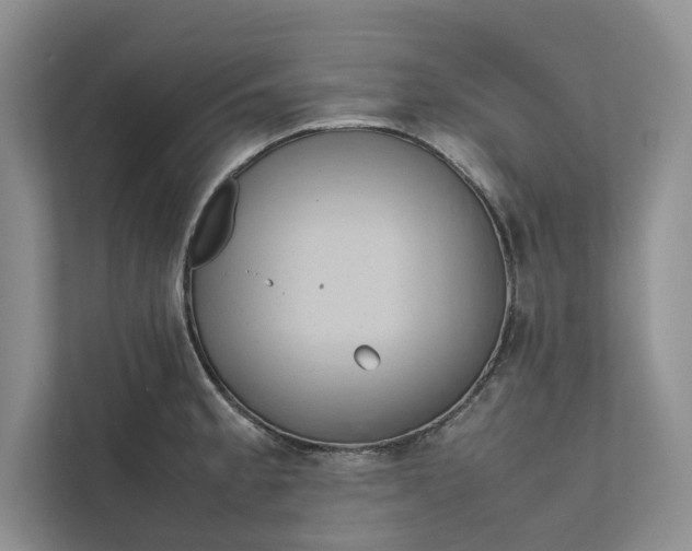 X0000111811189200908061109