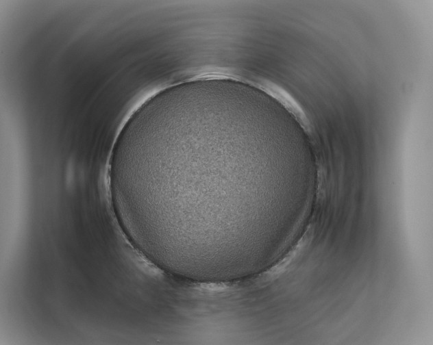X0000111811190200908061109