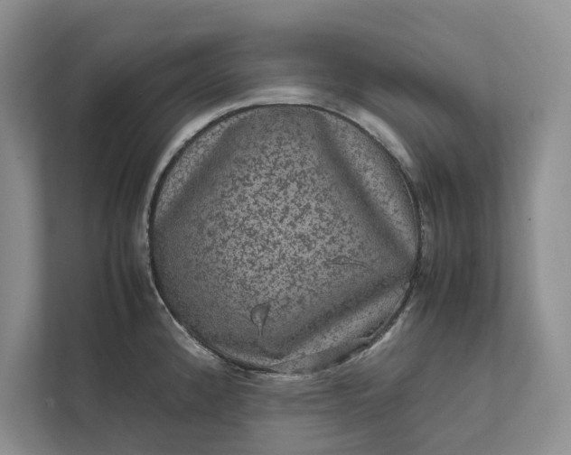 X0000111811192200908061109